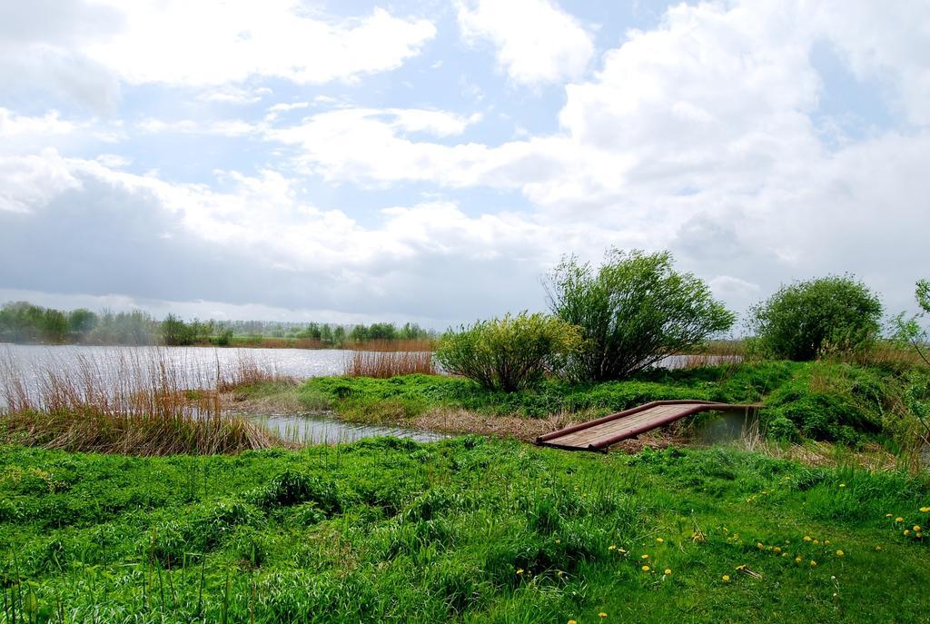 Riverside Motel Jelgava Exterior photo
